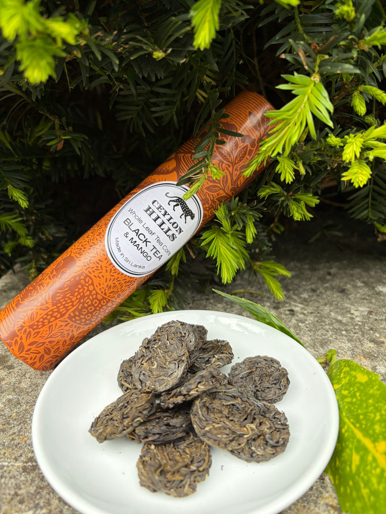 Black Tea & Mango angled on stone