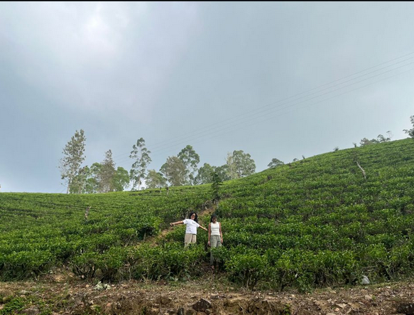 Erandi and Renuka at the tea plantation